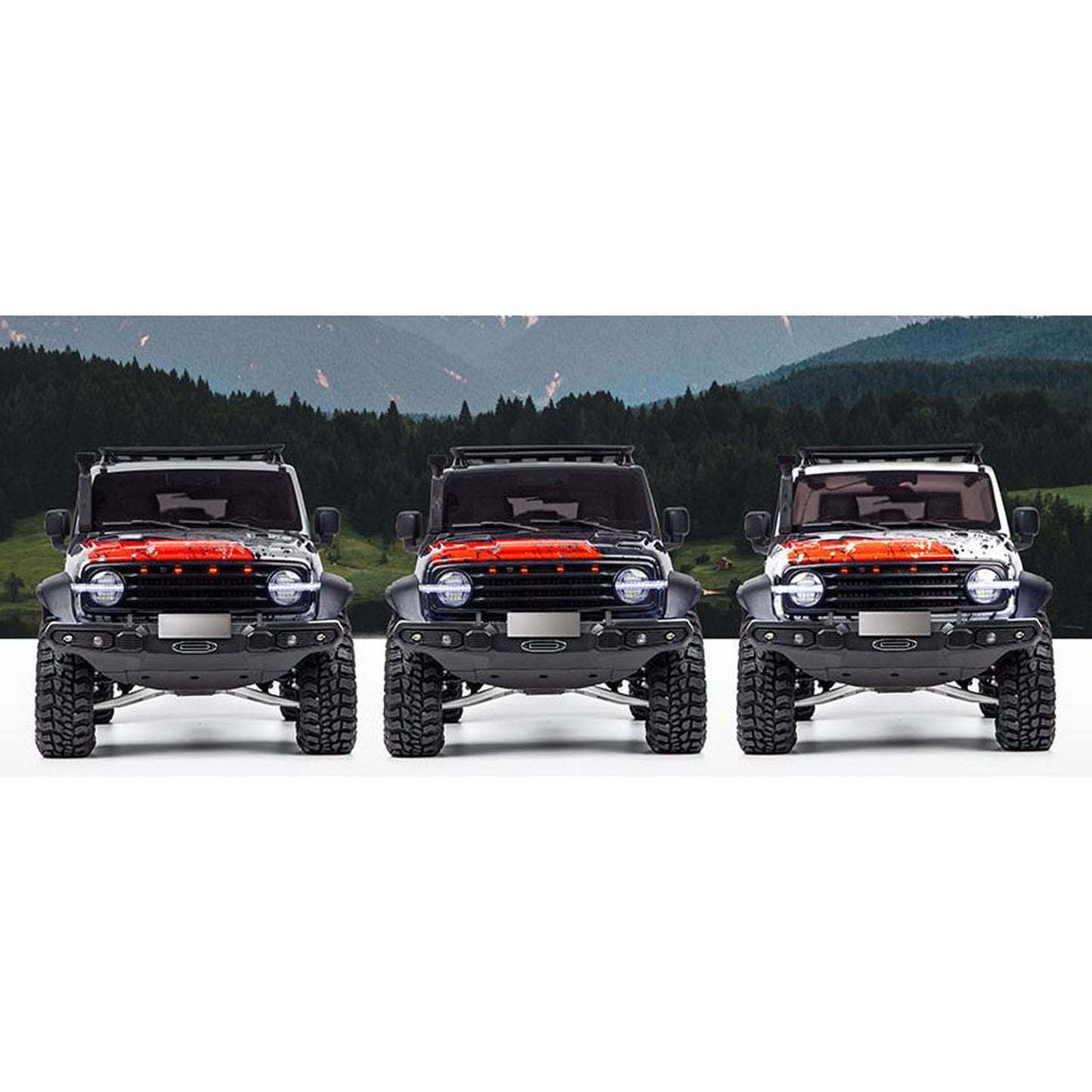 1/8 RC Crawler Tank 300 Gedenkausgabe 4WD Fernbedienung Geländewagen Achsensperre Bürstenmotor ESC Leichtmetallarm